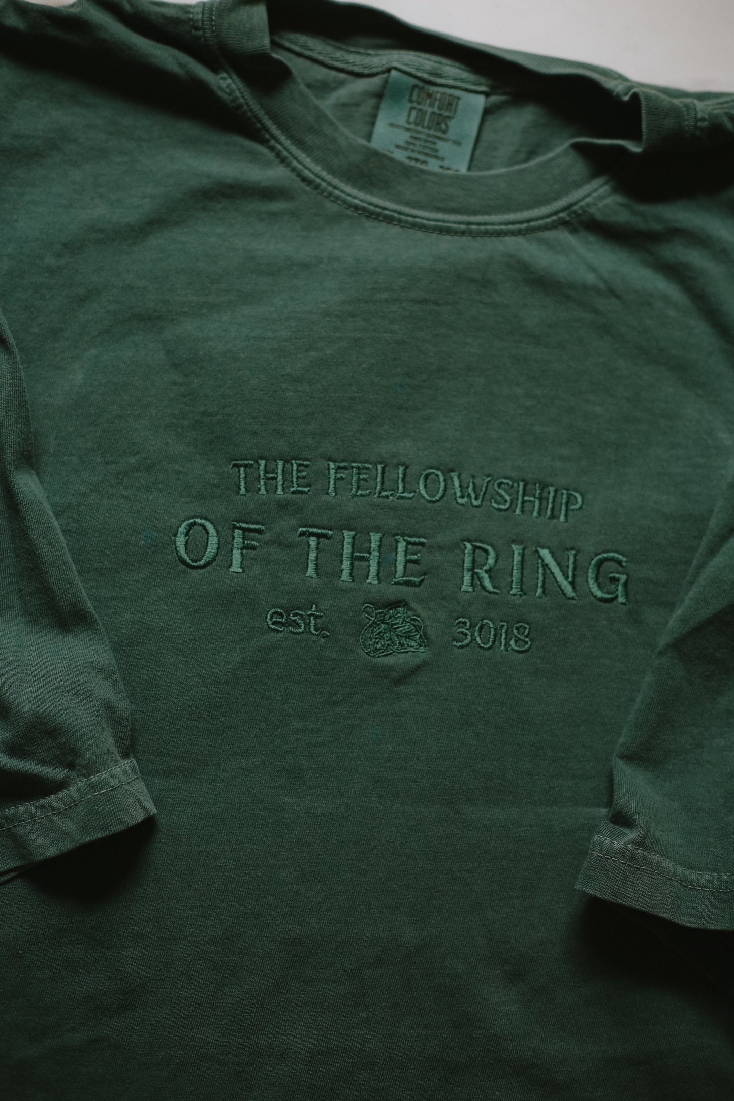 (flawed) fellowship of the ring embroidered t-shirt - 2XL