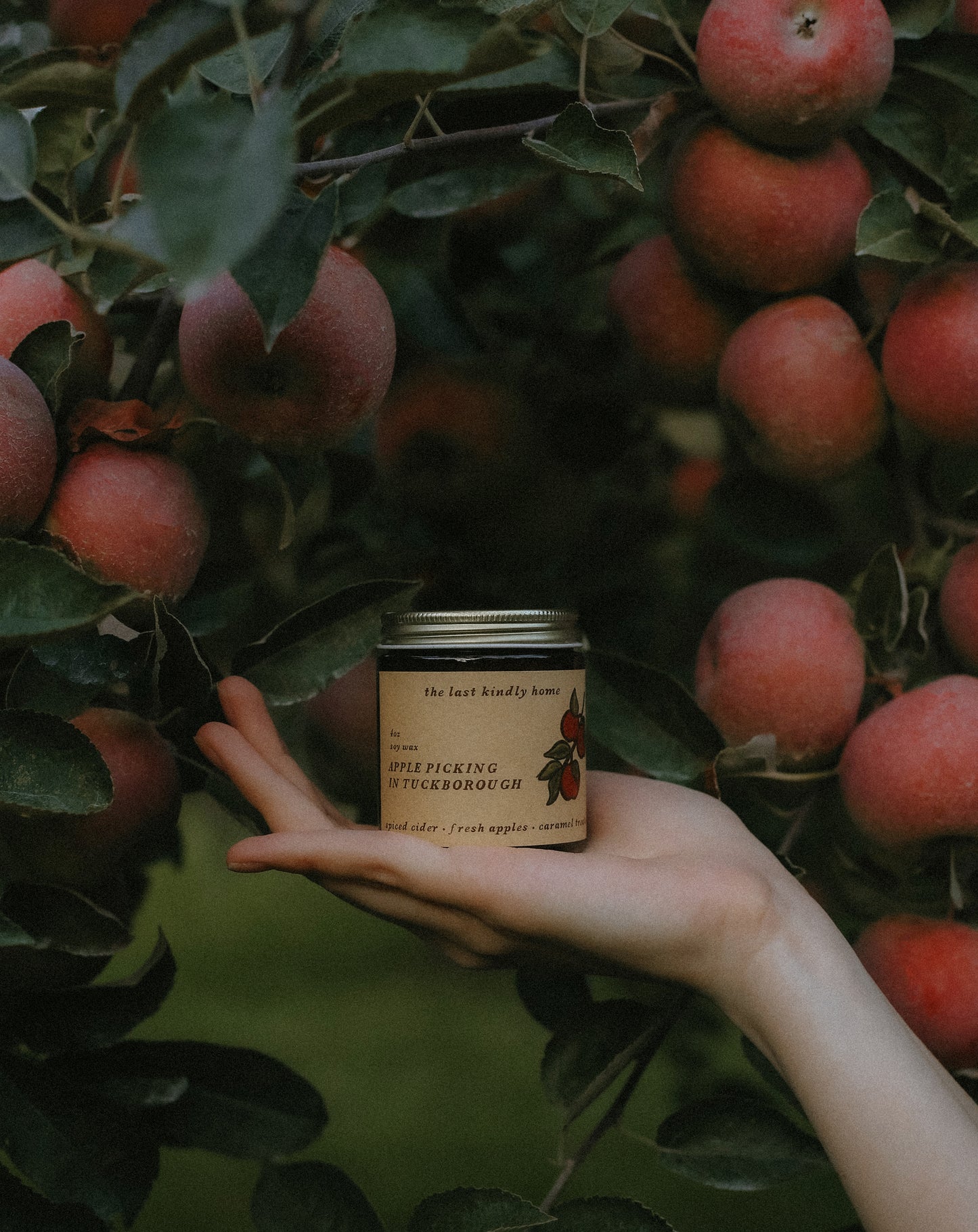 apple picking in tuckborough candle