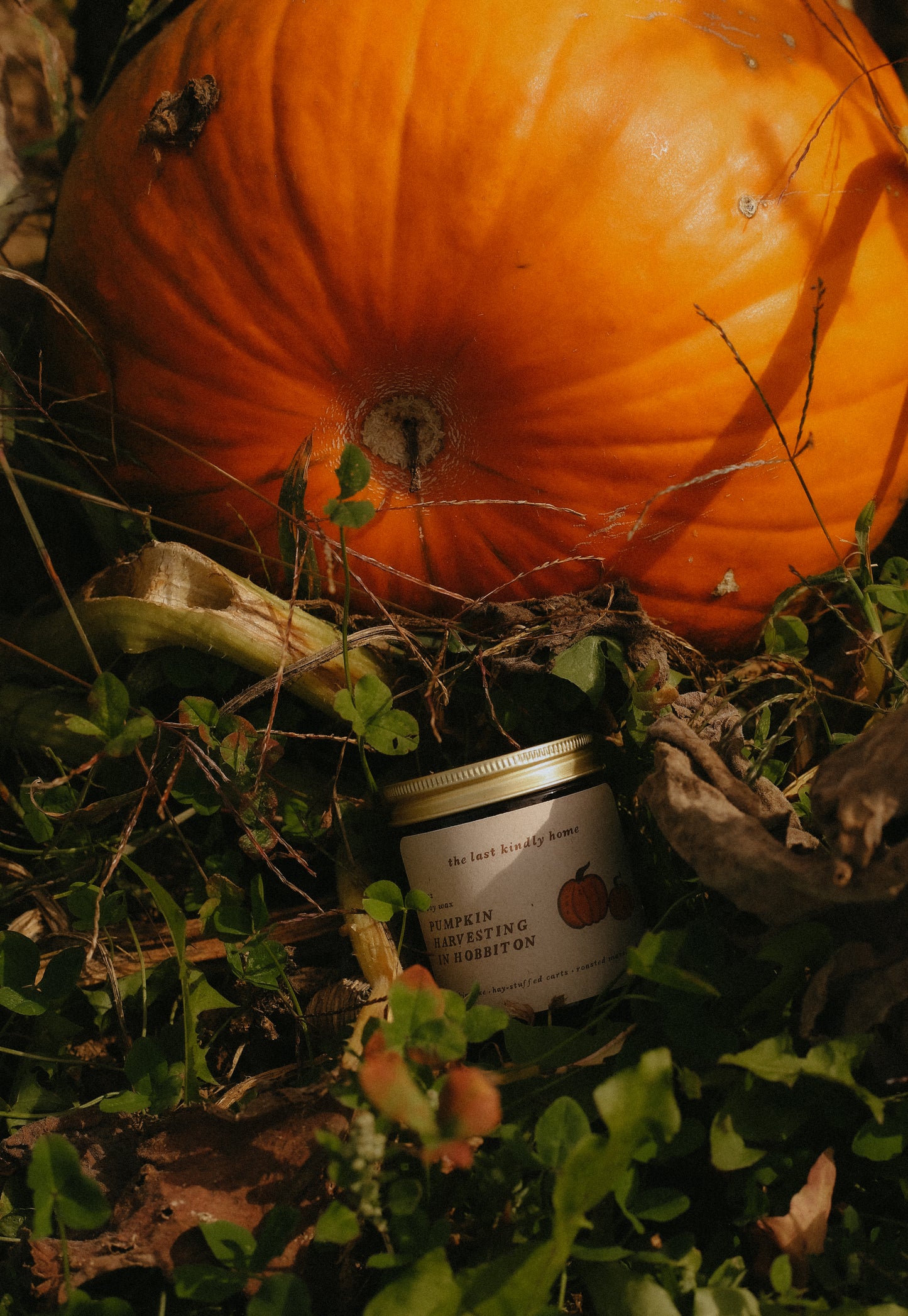pumpkin harvesting in hobbiton candle