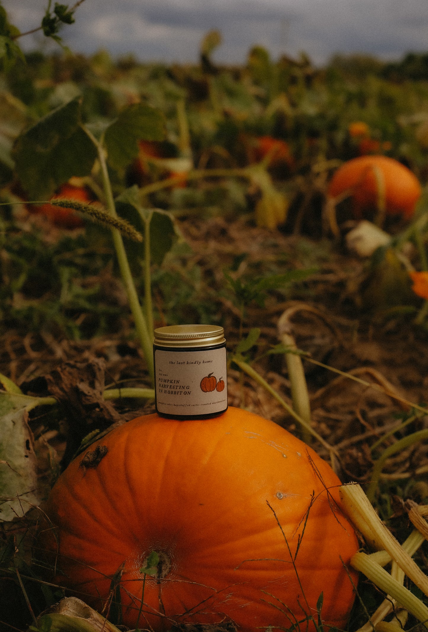 pumpkin harvesting in hobbiton candle