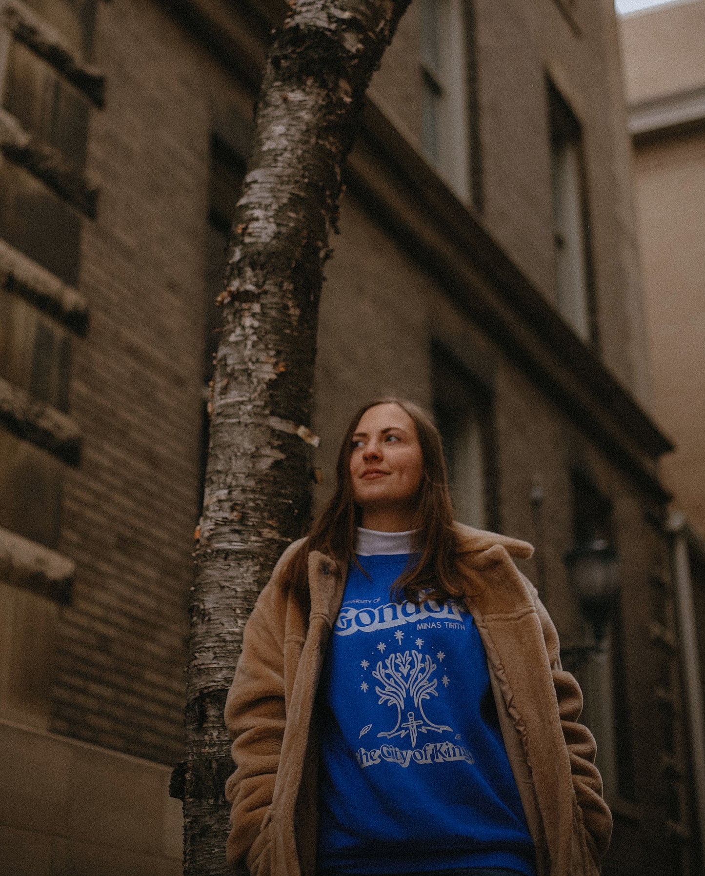 (PRE-ORDER) the university of gondor details sweatshirt