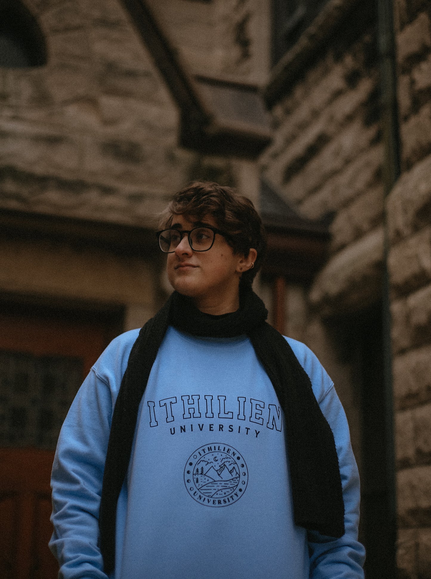 (PRE-ORDER) ithilien university classic sweatshirt/hoodie