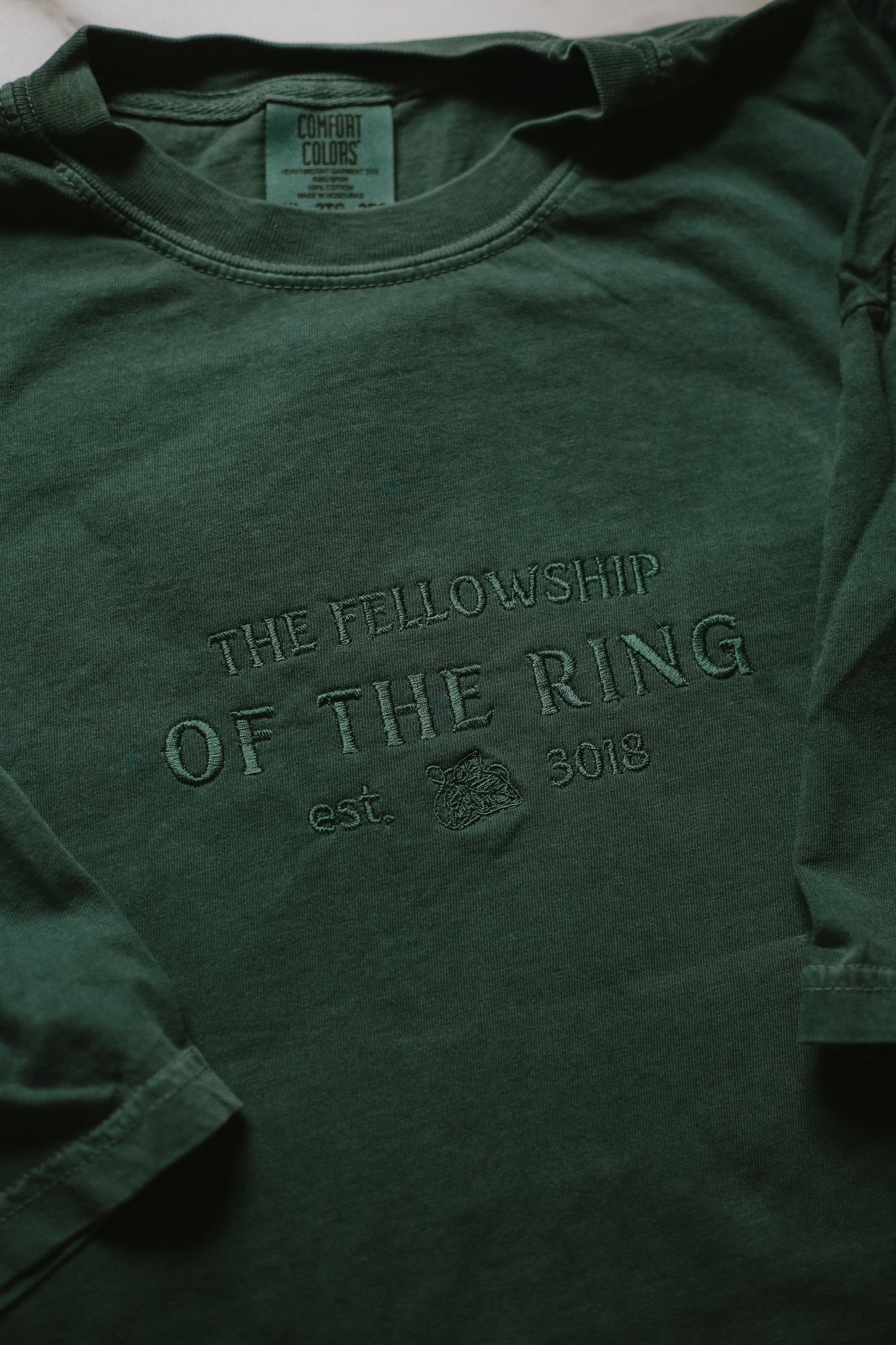 (flawed) fellowship of the ring embroidered t-shirt - 2XL