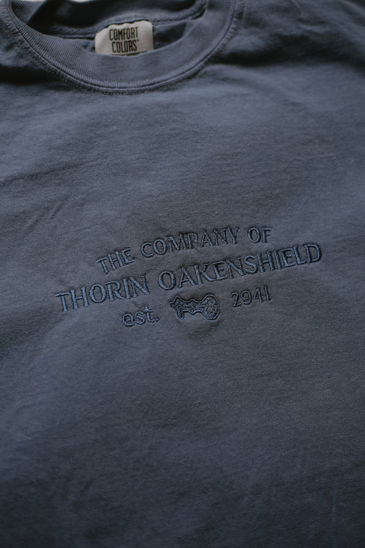 (ready to ship) company of thorin oakenshield t-shirt - medium