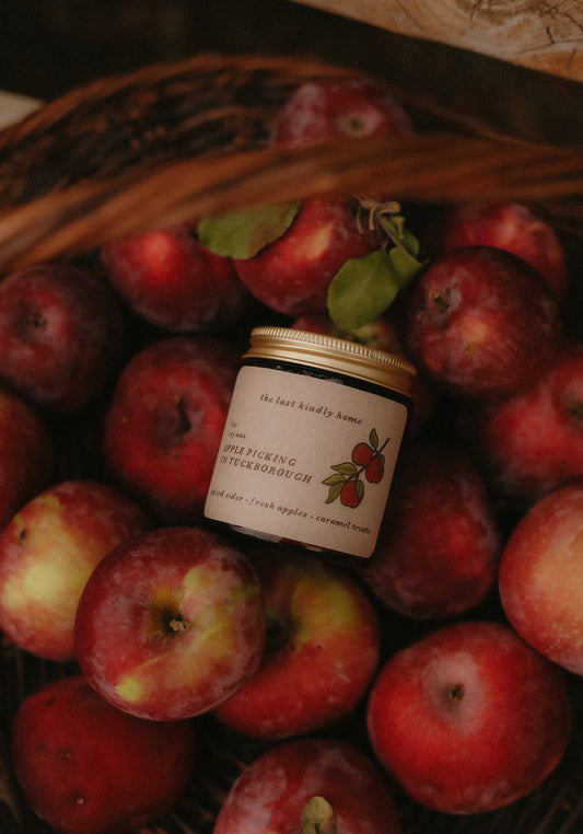 apple picking in tuckborough candle