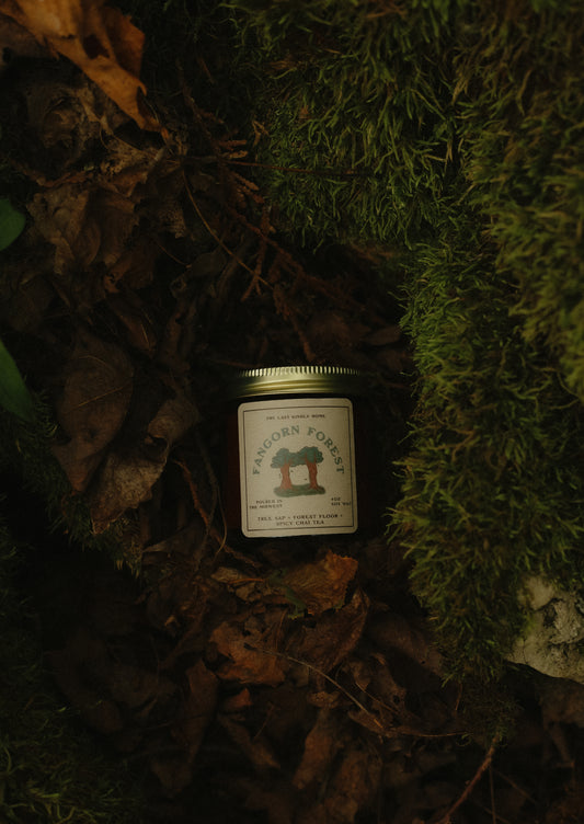 many paths to tread *new* candle bundle