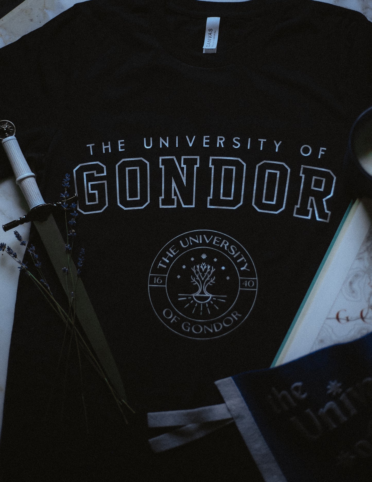 (PRE-ORDER) university of gondor classic t-shirt